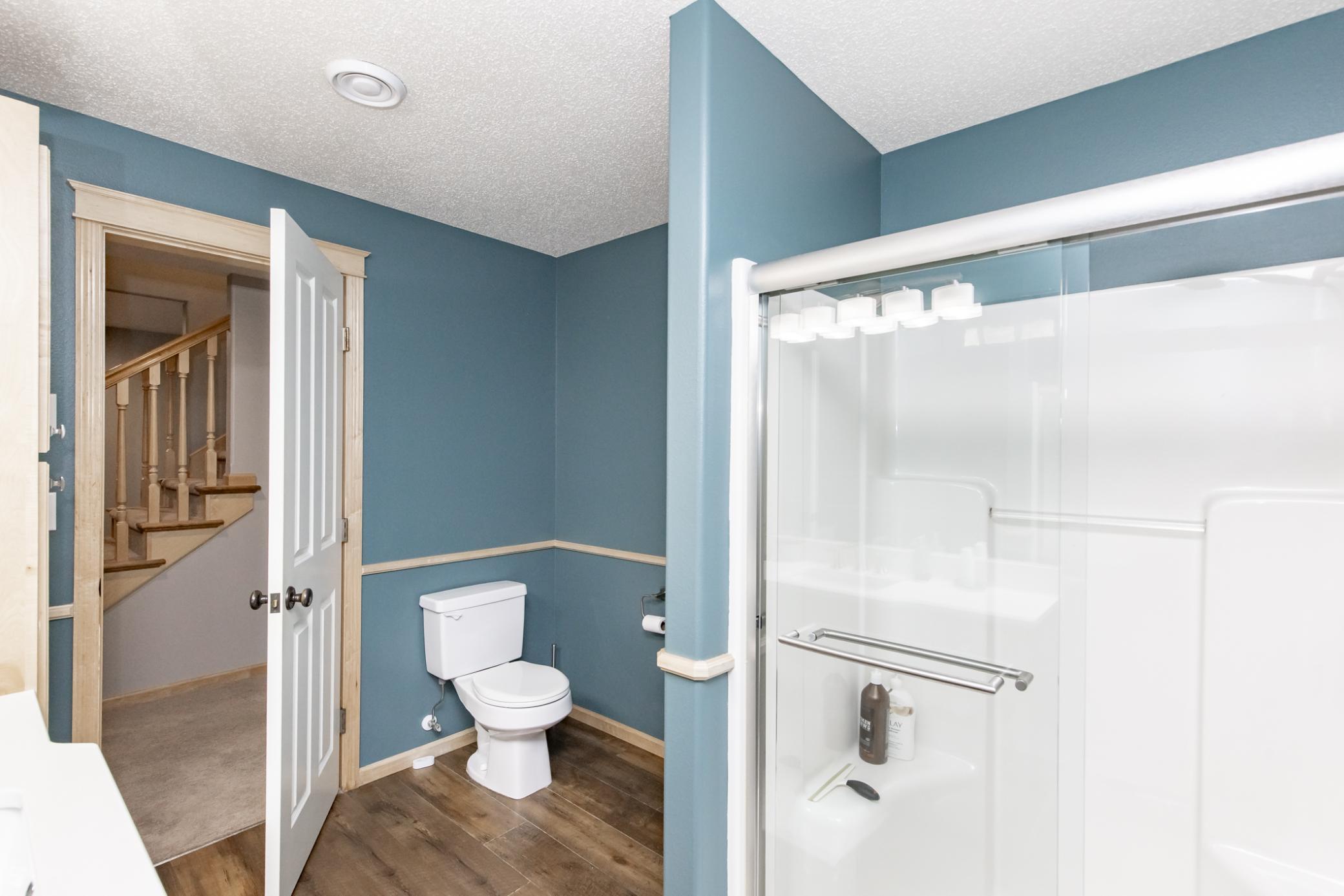 Lower Level Bathroom
