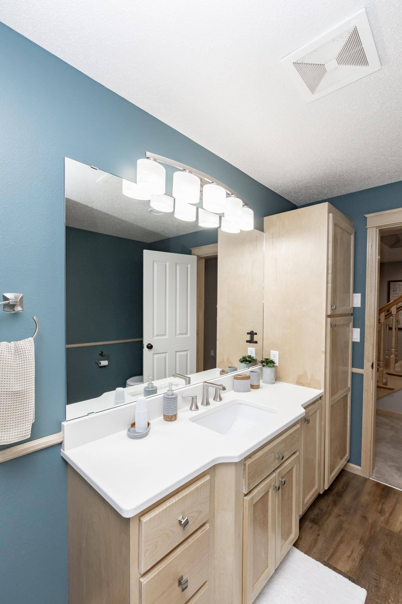 Lower Level Bathroom