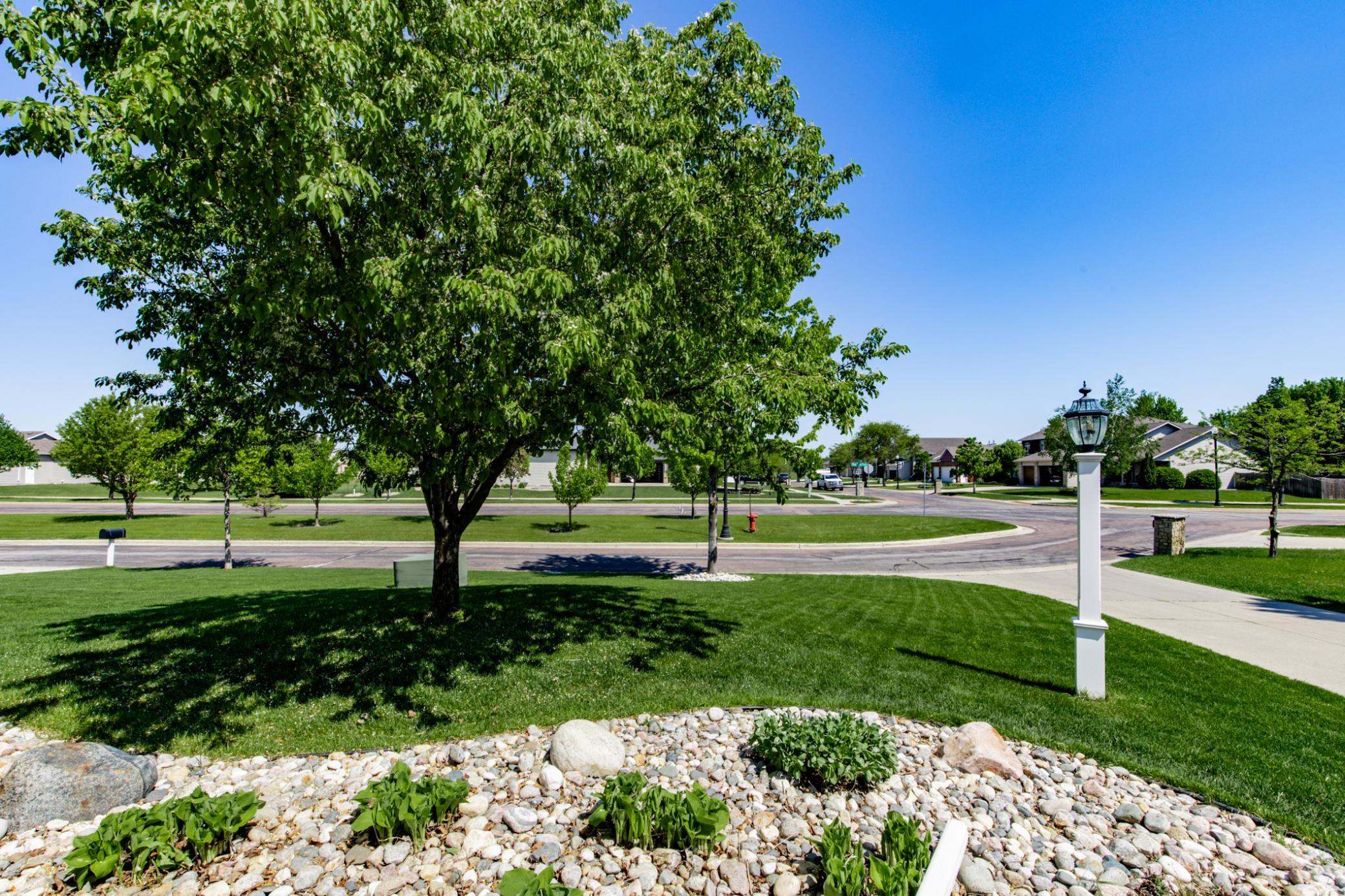 Front Yard