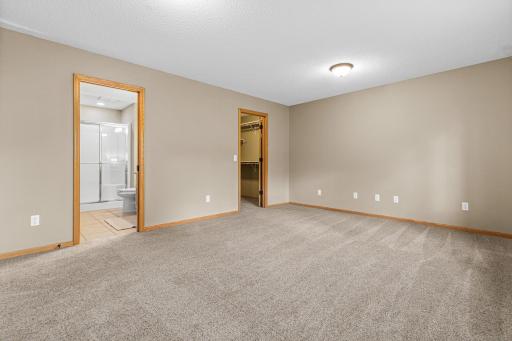 The third bedroom is located in the lower level of the home and has easy access to the 3/4 bathroom and large walk-in closet. New carpet and paint throughout the lower level.