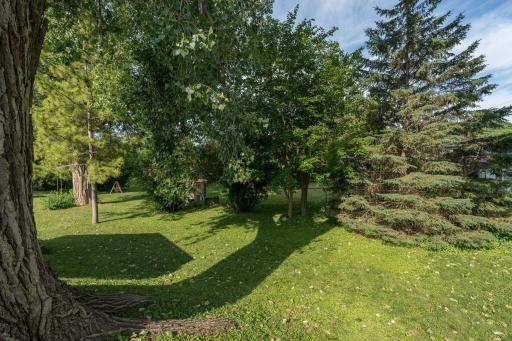 29-web-or-mls-1041-quincy-st.jpg