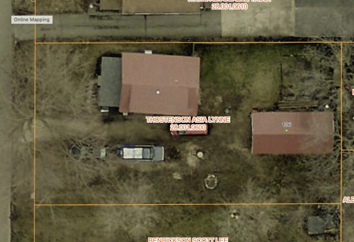 Bird View