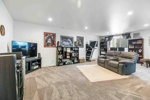 Basement Family Room