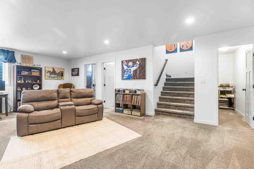 Basement Family Room