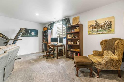 Basement Family Room