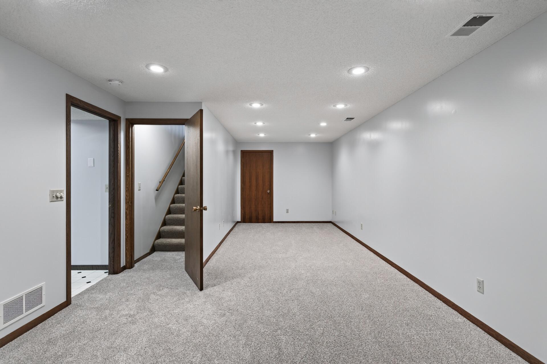 Lower Level Family Room