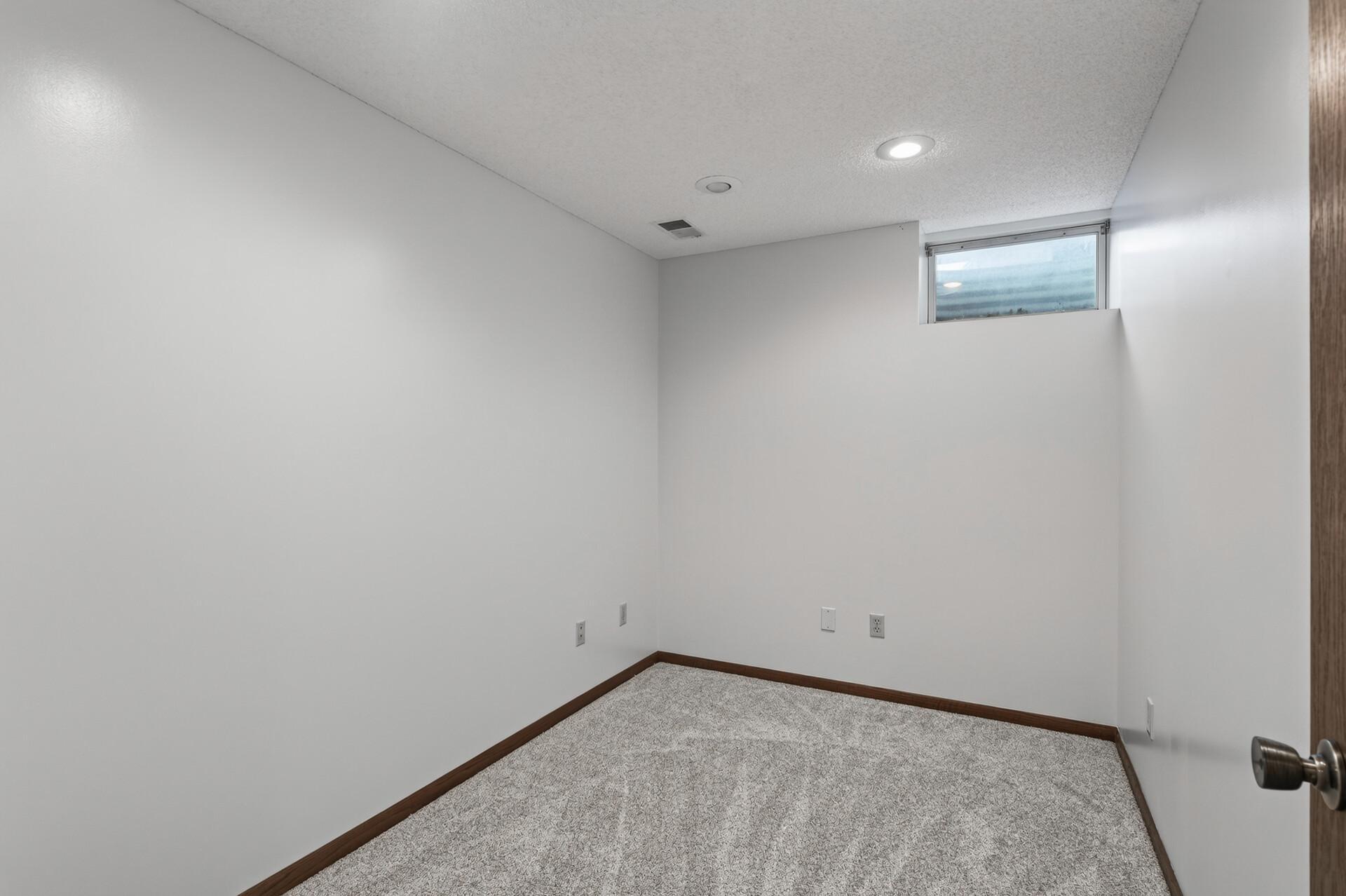 Lower Level Flex Room