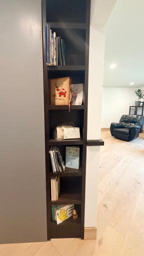 Built Ins in the Living Room