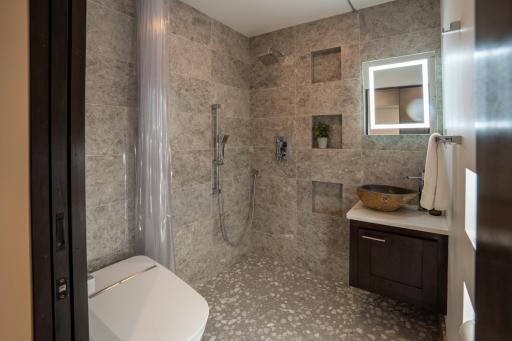 Main floor European style bathroom