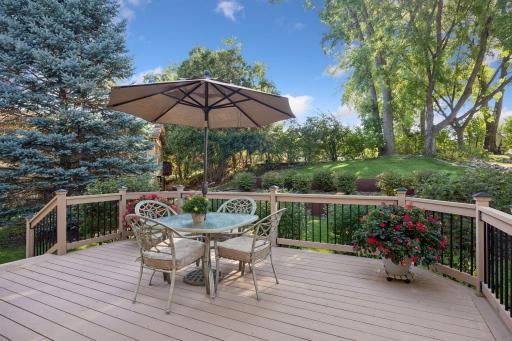 Gorgeous views from this spacious cedar deck w/ fresh paint & maintenance free aluminum balusters!