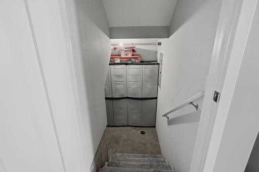 Partial Lower Level/ Utility Room. (Storage Cabinets and Shelving May Remain with the Home)