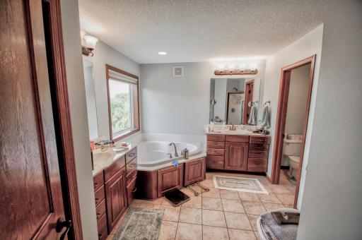 Owner's suite bathroom