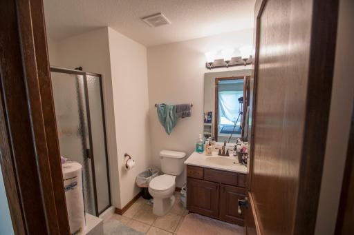 Lower level bathroom.jpg