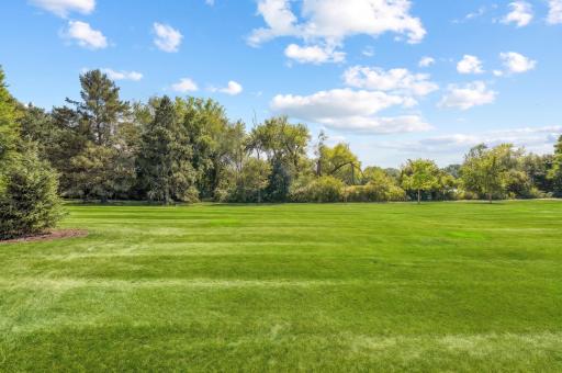 green lawn.jpg