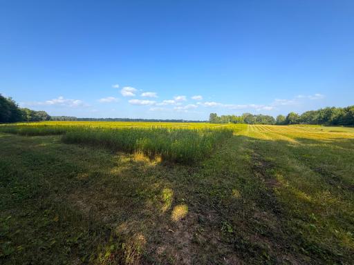1XXX 150th Avenue, Ogilvie, MN 56358