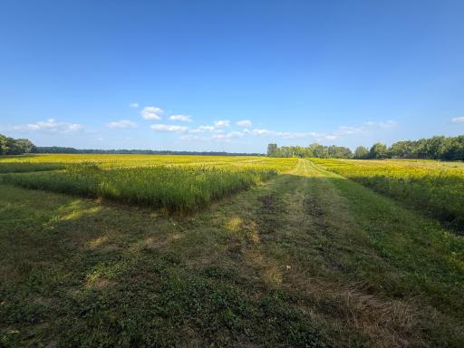 1XXX 150th Avenue, Ogilvie, MN 56358
