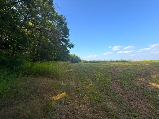 1XXX 150th Avenue, Ogilvie, MN 56358