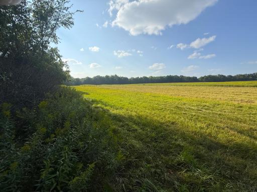 1XXX 150th Avenue, Ogilvie, MN 56358