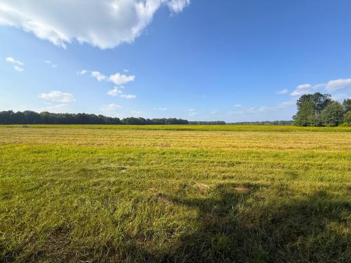 1XXX 150th Avenue, Ogilvie, MN 56358