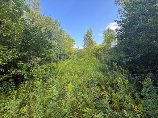 1XXX 150th Avenue, Ogilvie, MN 56358