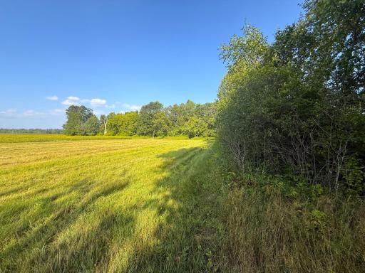 1XXX 150th Avenue, Ogilvie, MN 56358