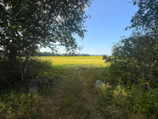 1XXX 150th Avenue, Ogilvie, MN 56358