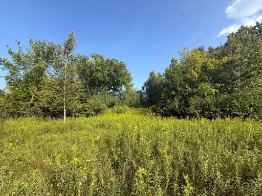 1XXX 150th Avenue, Ogilvie, MN 56358