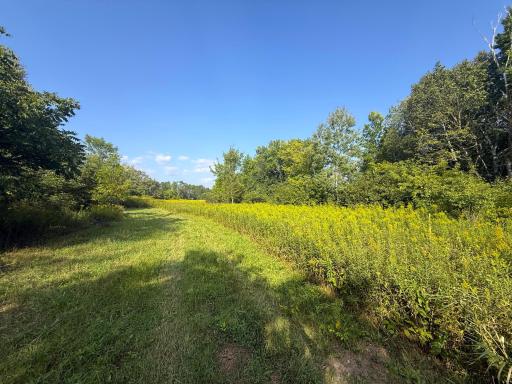 1XXX 150th Avenue, Ogilvie, MN 56358