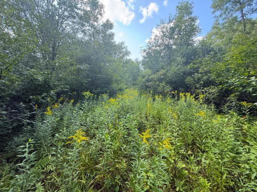 1XXX 150th Avenue, Ogilvie, MN 56358