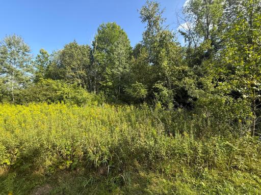 1XXX 150th Avenue, Ogilvie, MN 56358