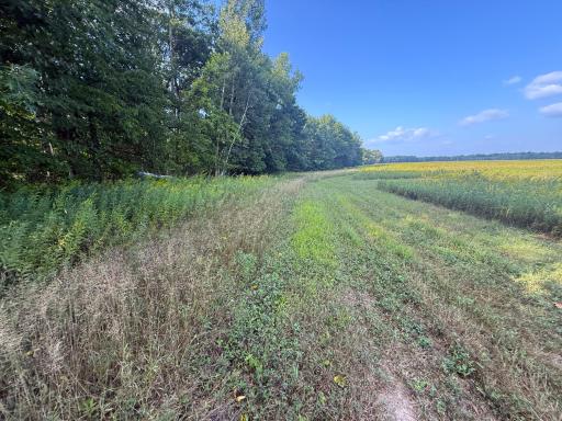 1XXX 150th Avenue, Ogilvie, MN 56358