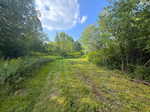 1XXX 150th Avenue, Ogilvie, MN 56358