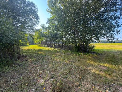 1XXX 150th Avenue, Ogilvie, MN 56358