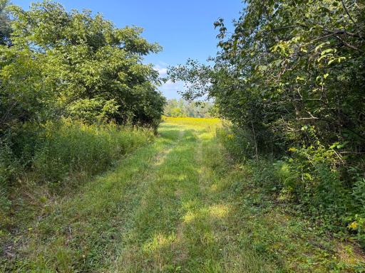 1XXX 150th Avenue, Ogilvie, MN 56358