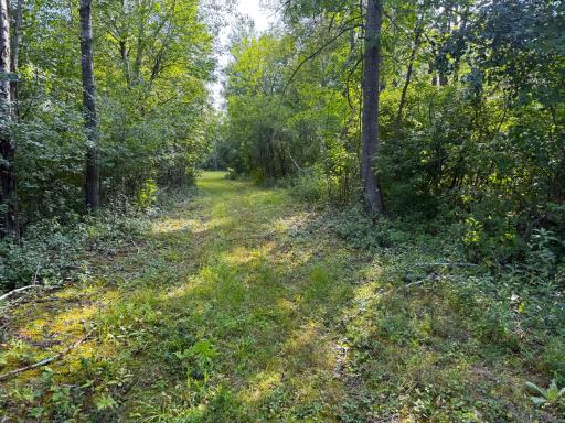 1XXX 150th Avenue, Ogilvie, MN 56358