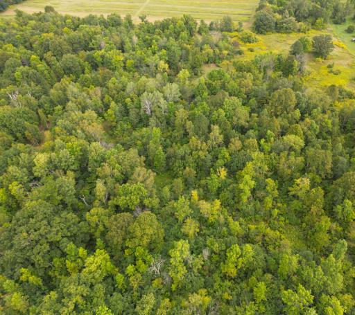 1XXX 150th Avenue, Ogilvie, MN 56358