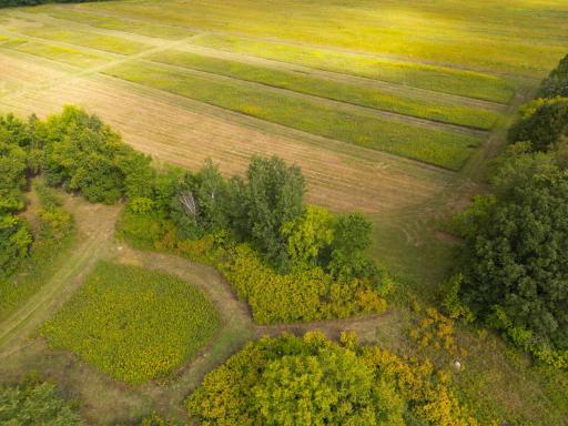 1XXX 150th Avenue, Ogilvie, MN 56358