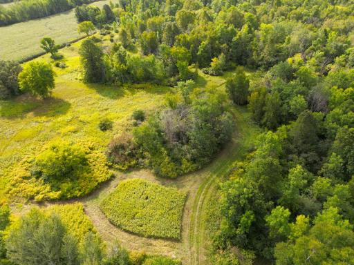 1XXX 150th Avenue, Ogilvie, MN 56358