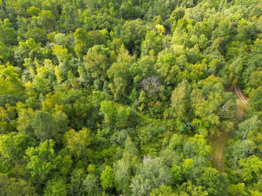 1XXX 150th Avenue, Ogilvie, MN 56358
