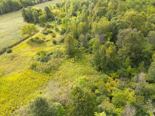 1XXX 150th Avenue, Ogilvie, MN 56358