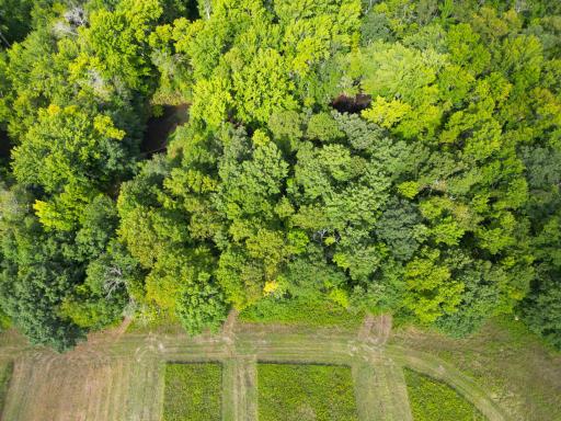 1XXX 150th Avenue, Ogilvie, MN 56358