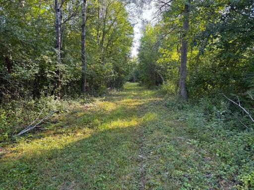 1XXX 150th Avenue, Ogilvie, MN 56358