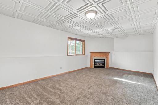 Lower Level - family room