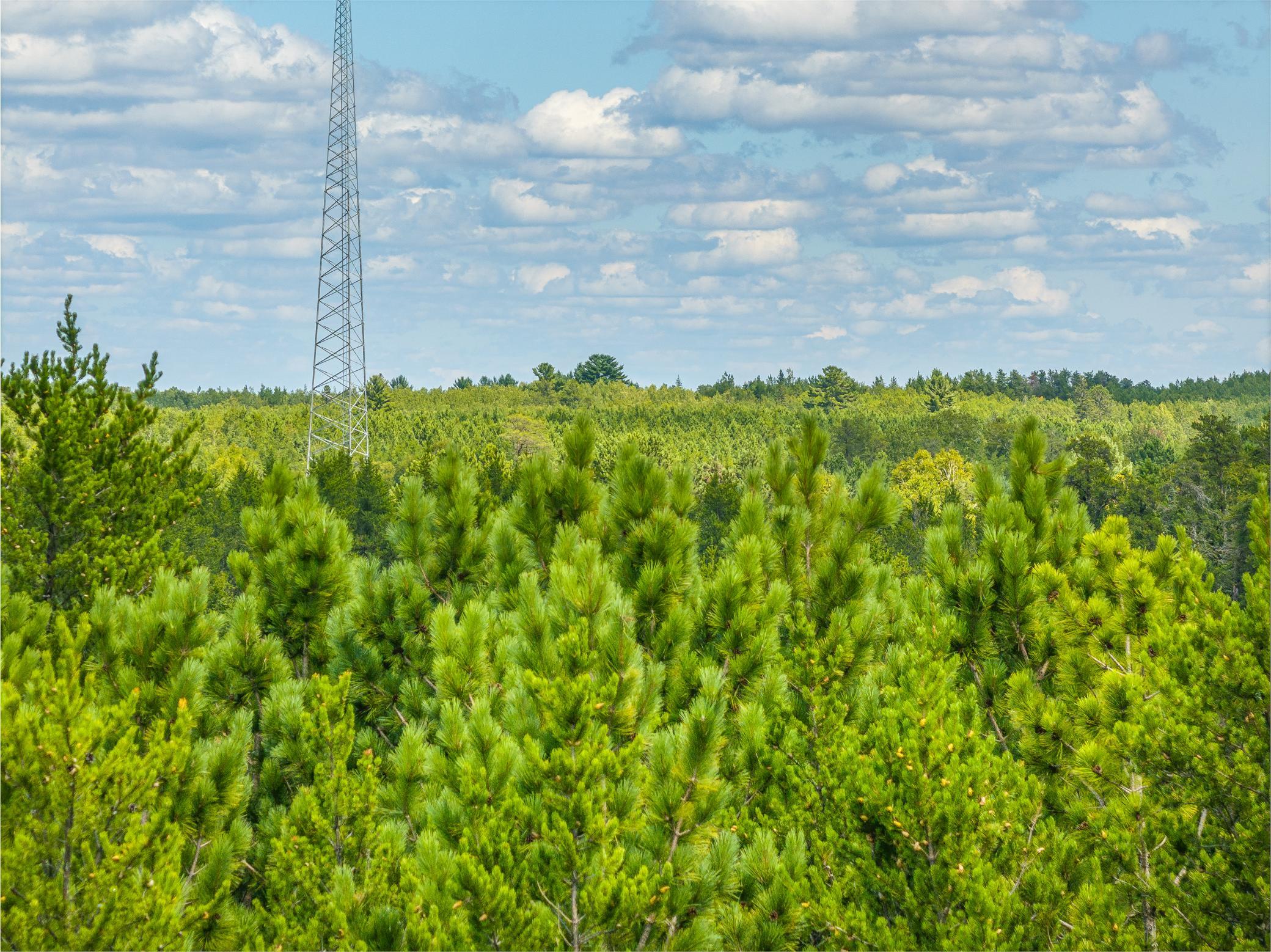 Property photo for Tract D Highway 21, Babbitt, MN 55706