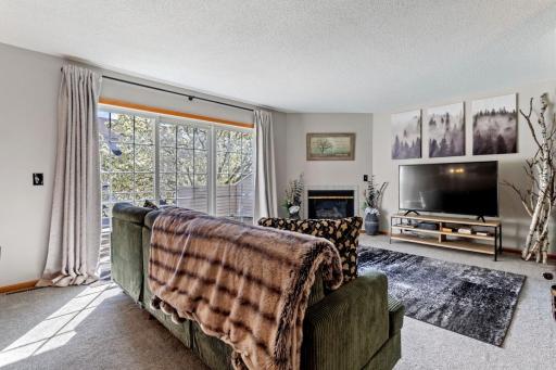 Plenty of natural daylight from the deck access sliding glass doors.