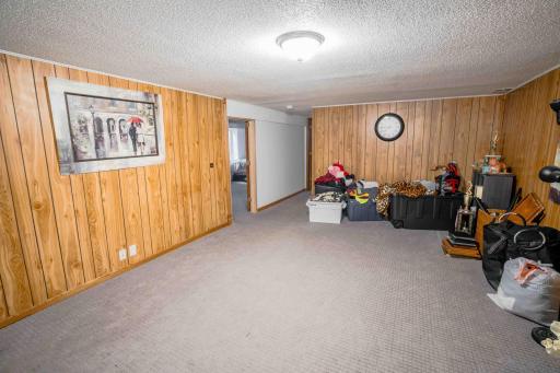 Finished Basement