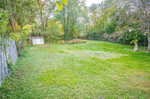 Huge Back Yard