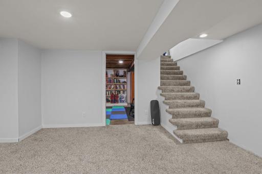 Lower level rec room and huge storage room!