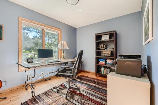 24 Main Floor 5th Bdrm or Office 3200 Frear Dr Mtka.jpg