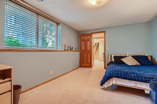 22 Lwr Level 4th Bdrm 3200 Frear Dr Mtka.jpg